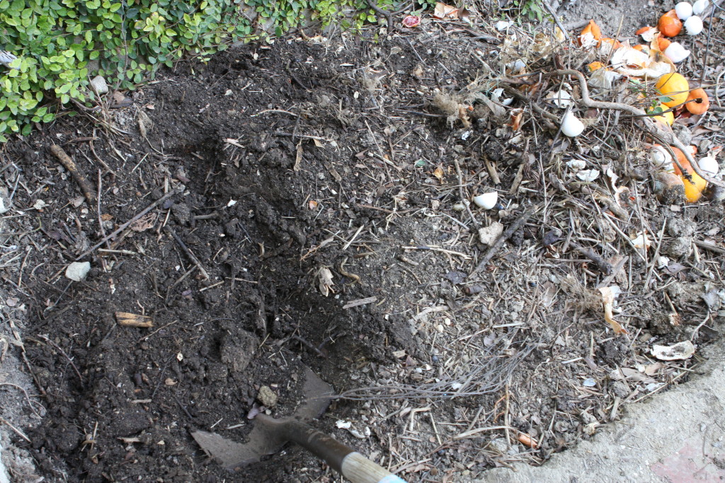 Compost pile