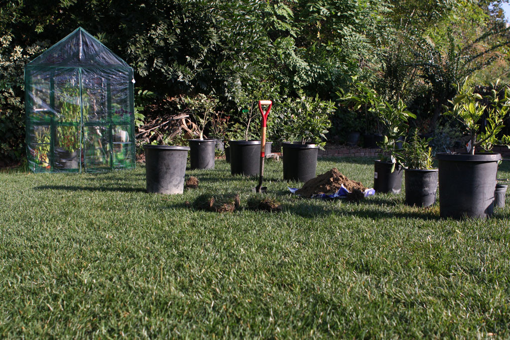 From afar, it is hard to notice that there are patches of empty lawn.