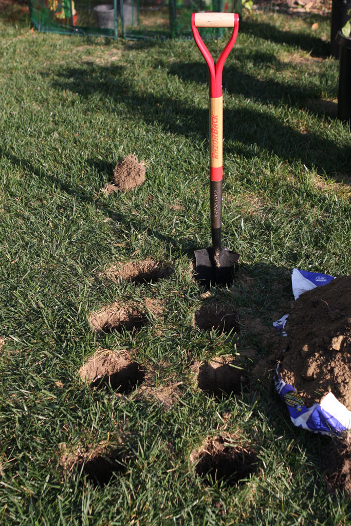 Holes dug for growing corn.