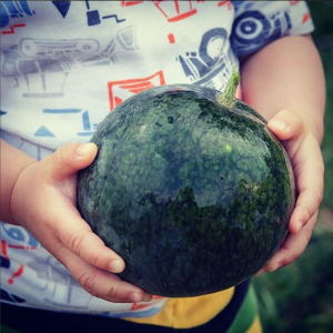 Atlas holding watermelon