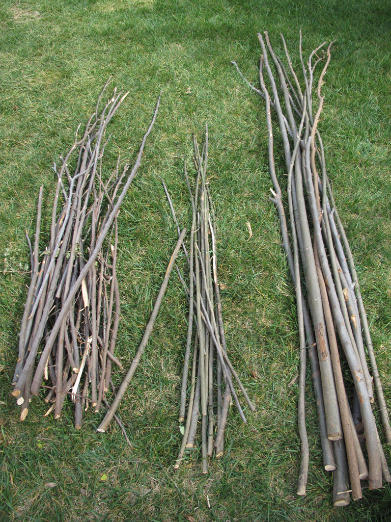 Pecan wood