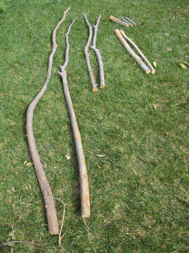 Pecan wood. The bigger branches to be used for fire wood or terracing. 