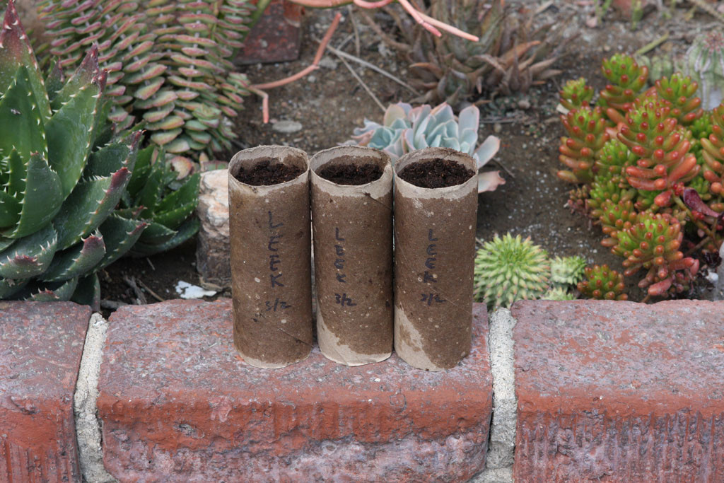 Toilet paper roller seed starting container