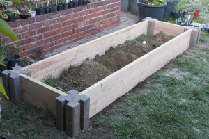 raised planter